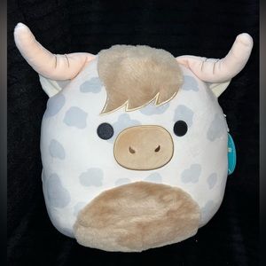 Borsa the Highland Cow